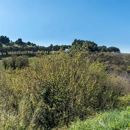 A21 - Massignano, Stupendo Casolare Nel Parco Del Conero Lejlighed *
